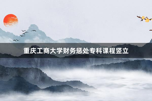 重庆工商大学财务惩处专科课程竖立