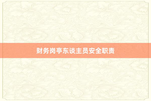 财务岗亭东谈主员安全职责
