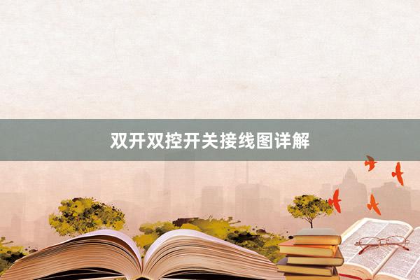 双开双控开关接线图详解