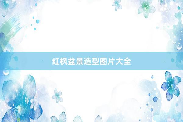 红枫盆景造型图片大全